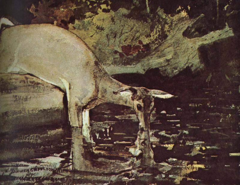 Winslow Homer Deer drink Norge oil painting art